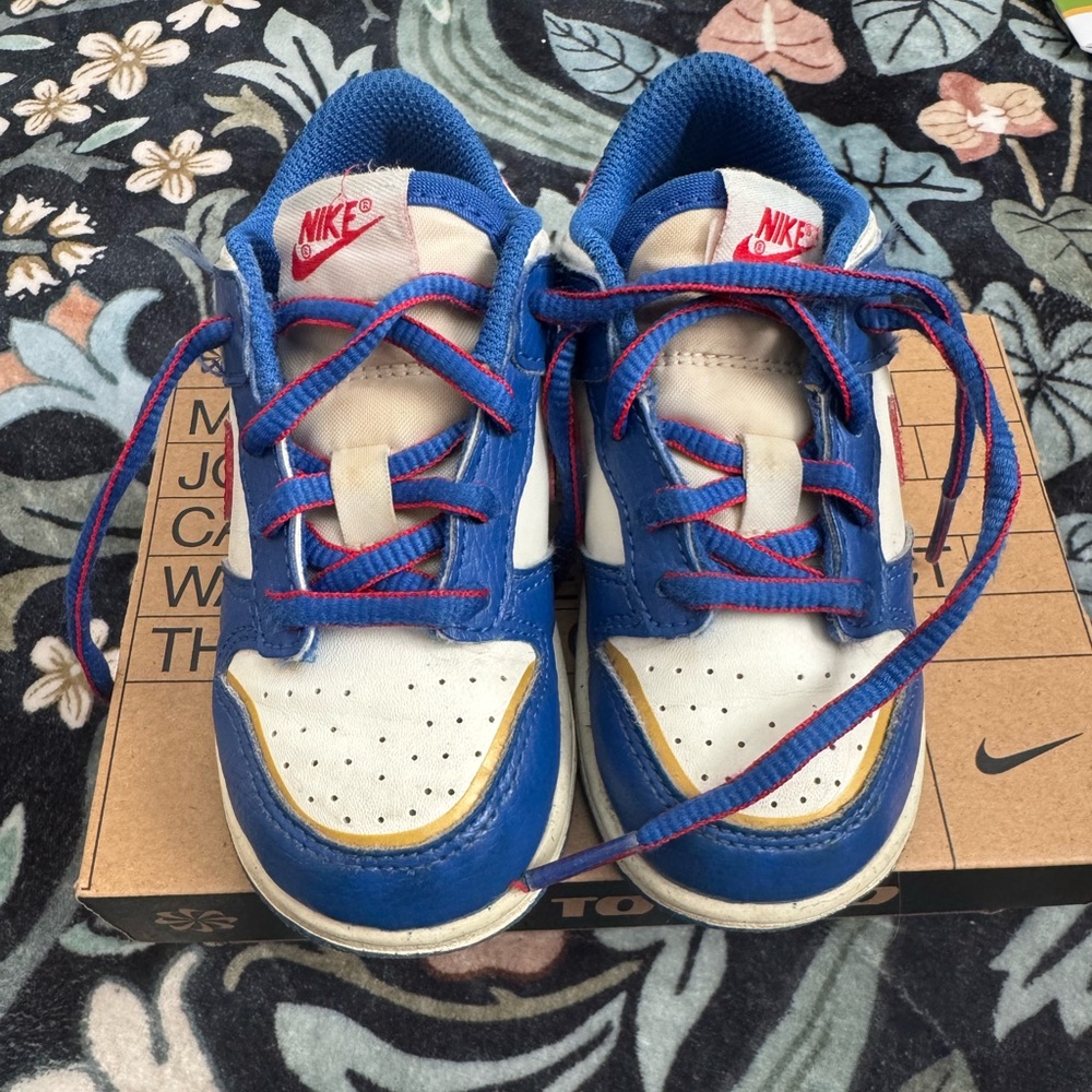 Nike Kids dunk low TD NN